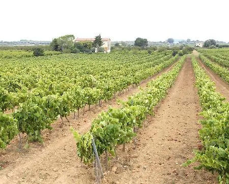 Cal Vibo * Vilabella